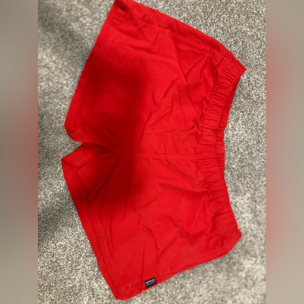 Patagonia Shorts Womens XL